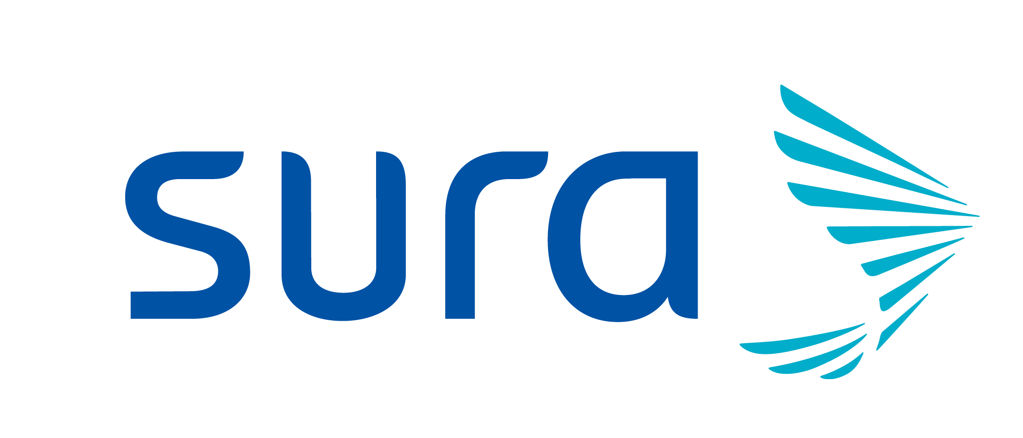 SURA IM